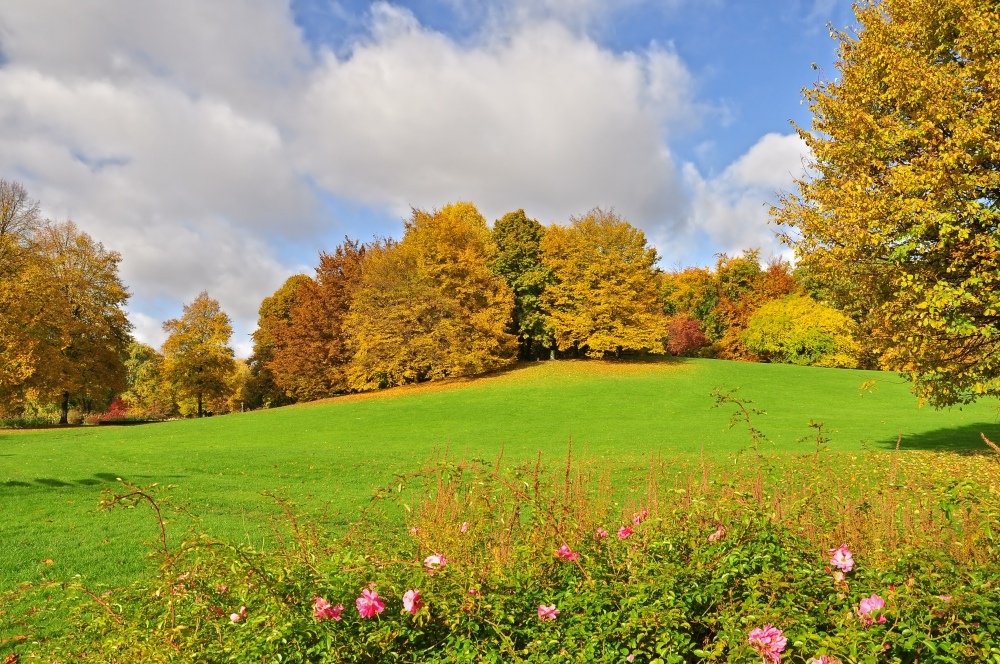 Goldener Oktober.....