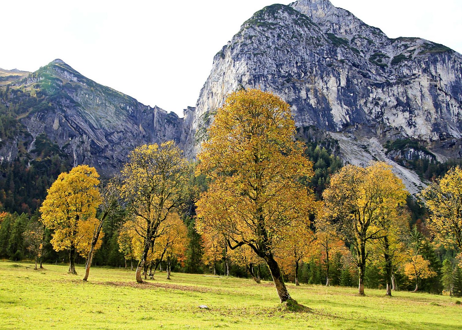 Goldener Oktober