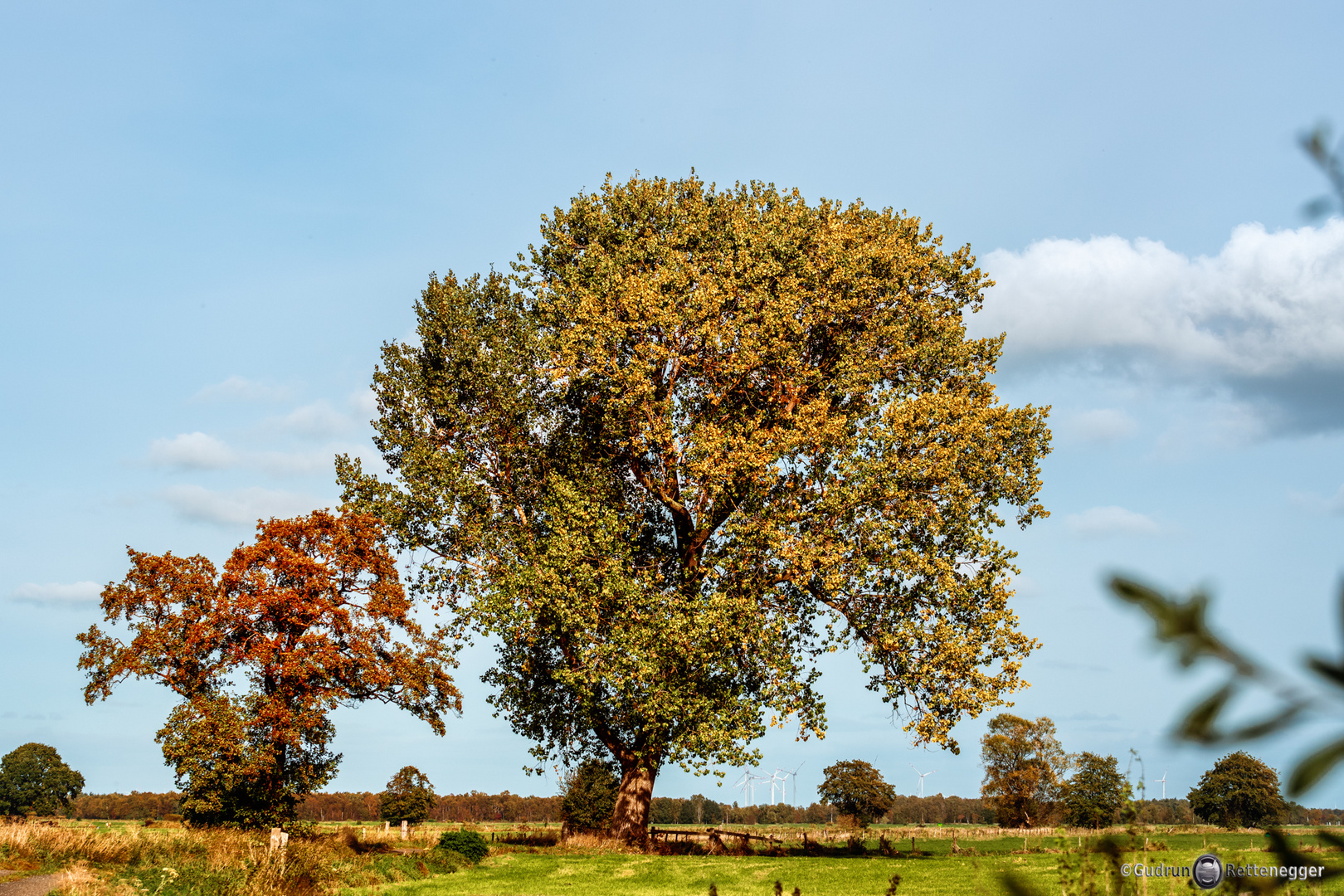 Goldener Oktober ...