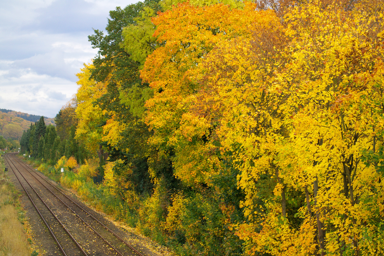 Goldener Oktober