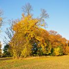 Goldener Oktober......