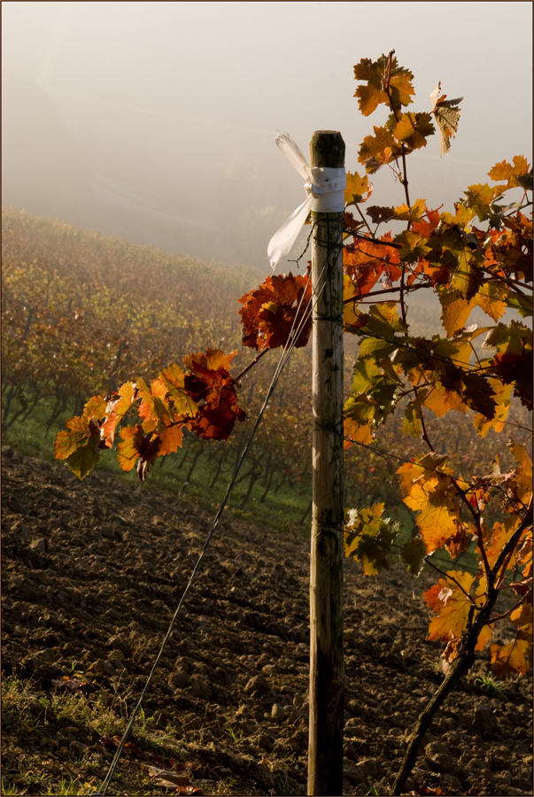 Goldener Oktober