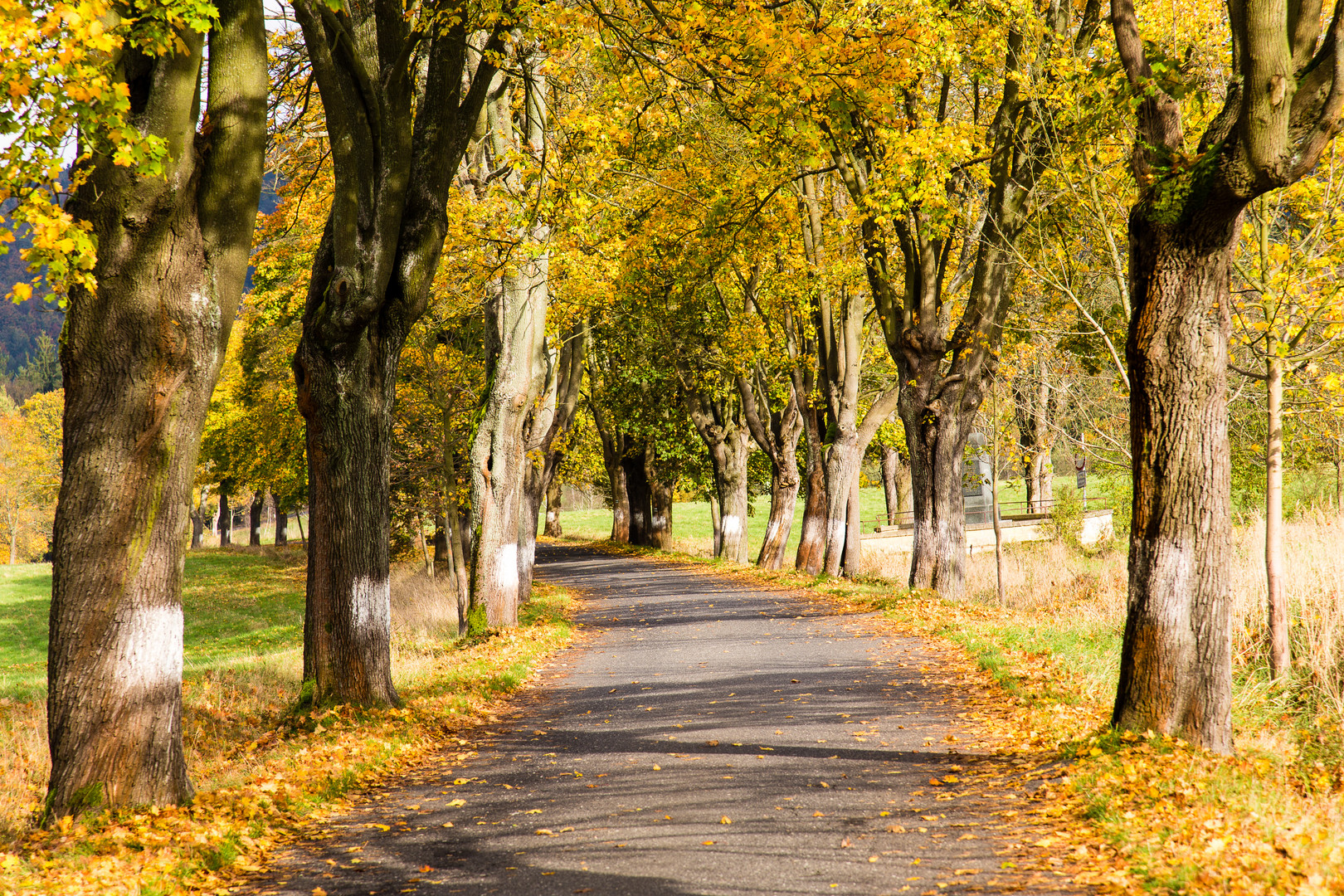 goldener Oktober