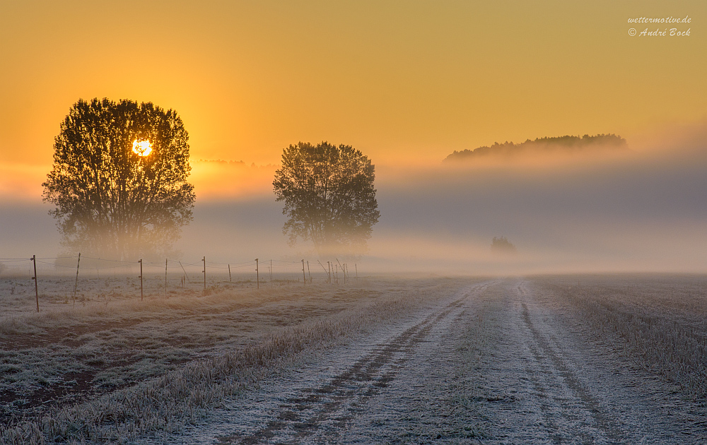 Goldener Oktober