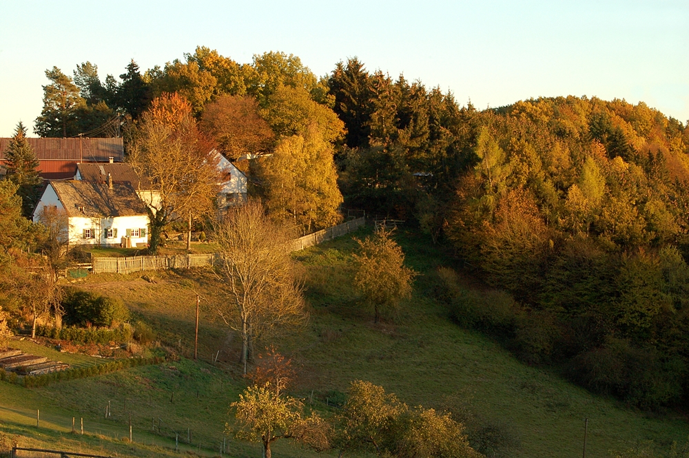 goldener Oktober