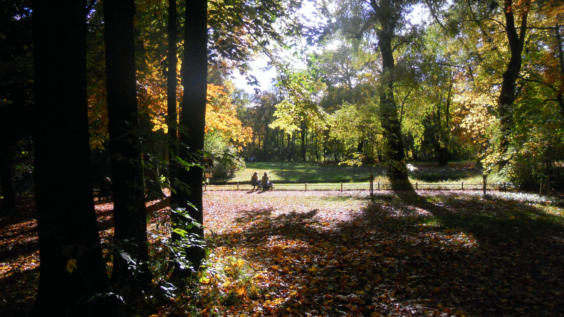 Goldener Oktober