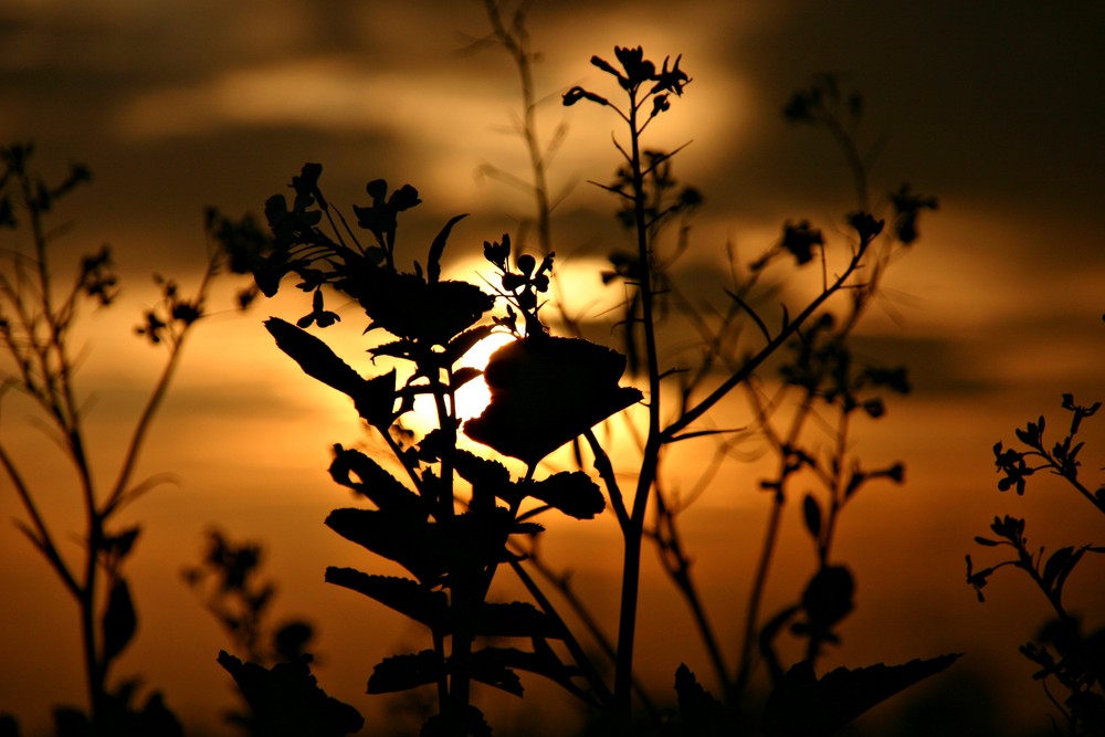 Goldener Oktober...