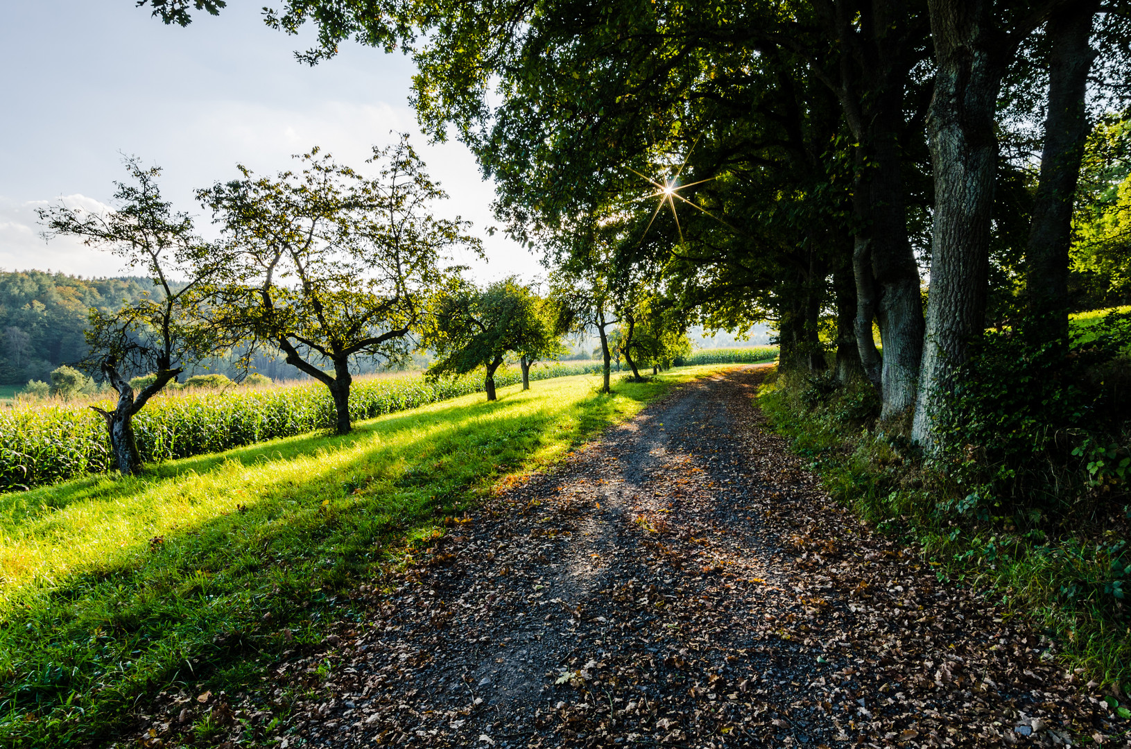 Goldener Oktober