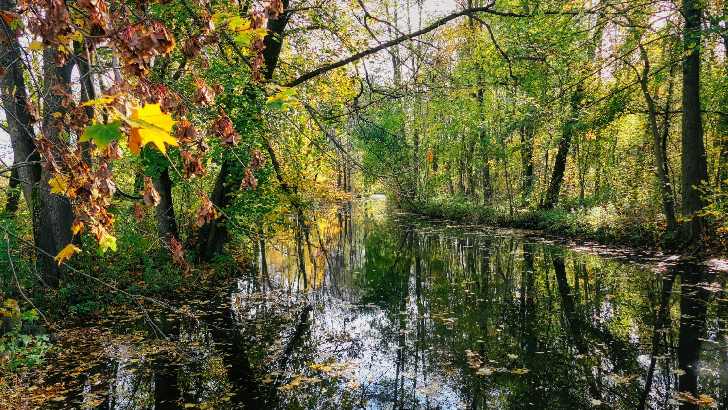 Goldener Oktober