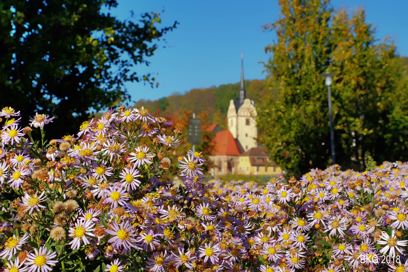 Goldener Oktober Farben- und Lichtpracht