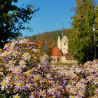 Goldener Oktober Farben- und Lichtpracht