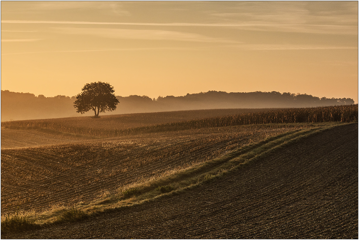 Goldener Oktober