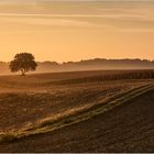 Goldener Oktober