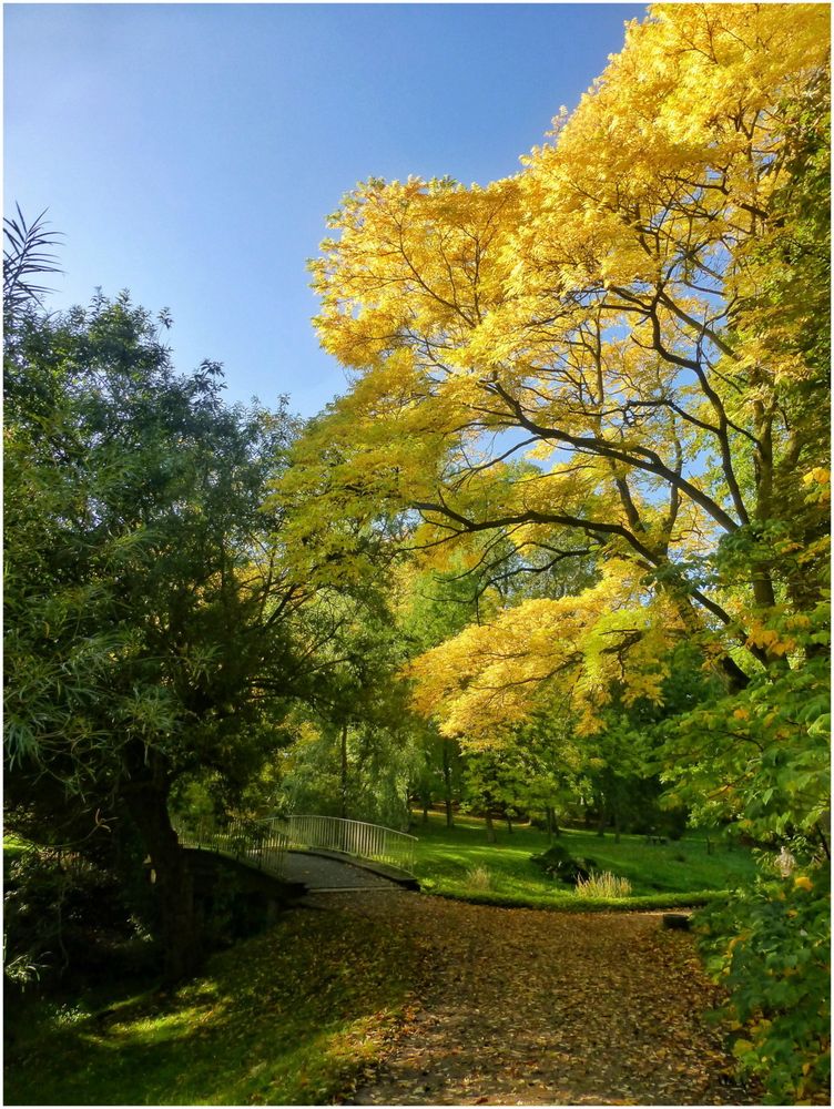 Goldener Oktober