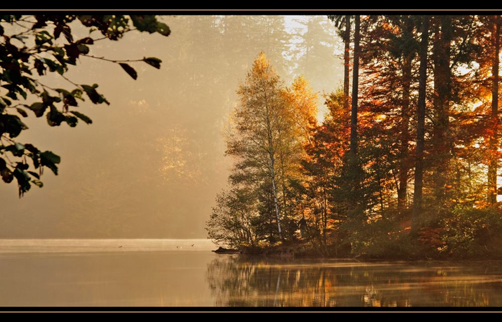 Goldener Oktober