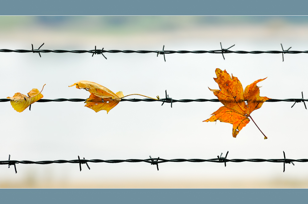 Goldener Oktober...