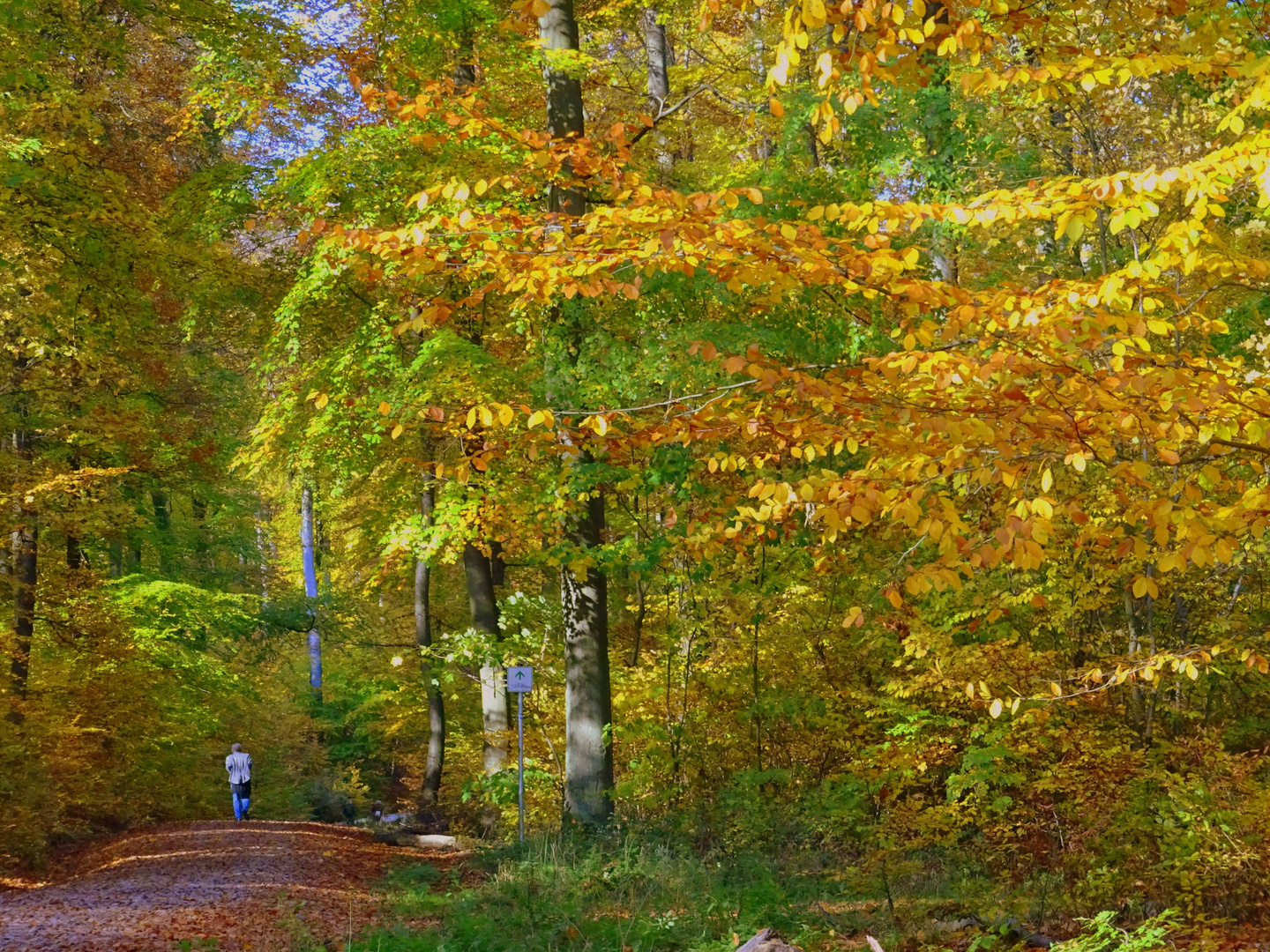 Goldener Oktober I