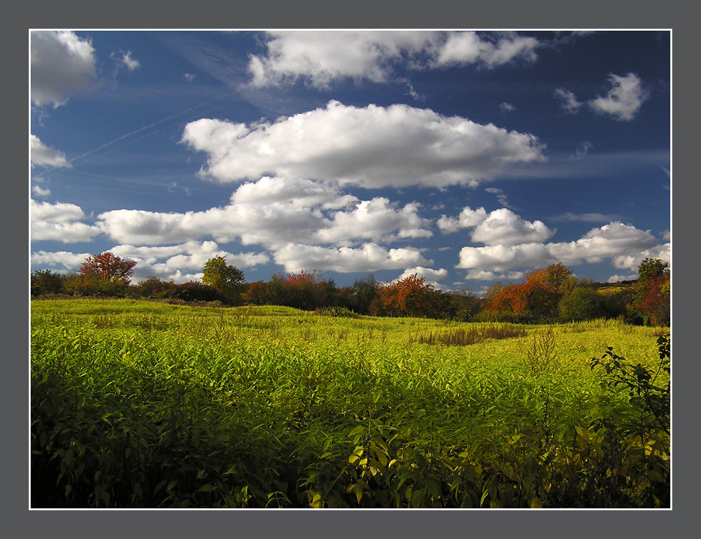 Goldener Oktober II