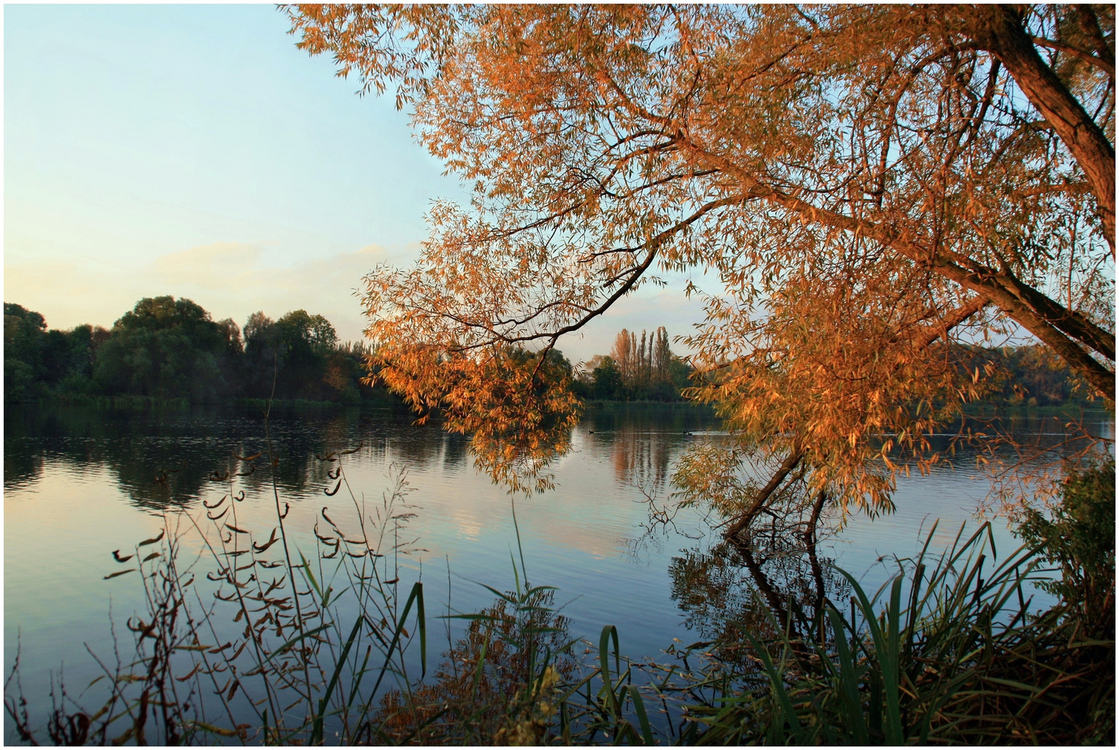 goldener Oktober II