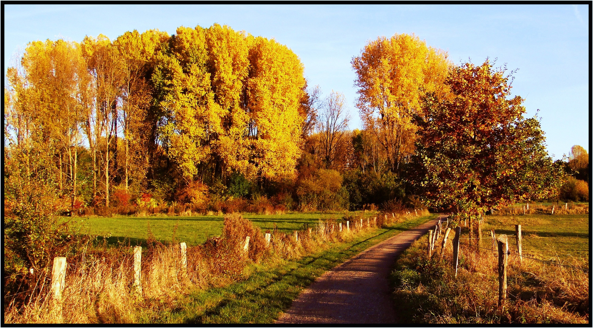 Goldener Oktober iin der Abendsonne