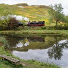 Goldener Oktober im Ahrtal