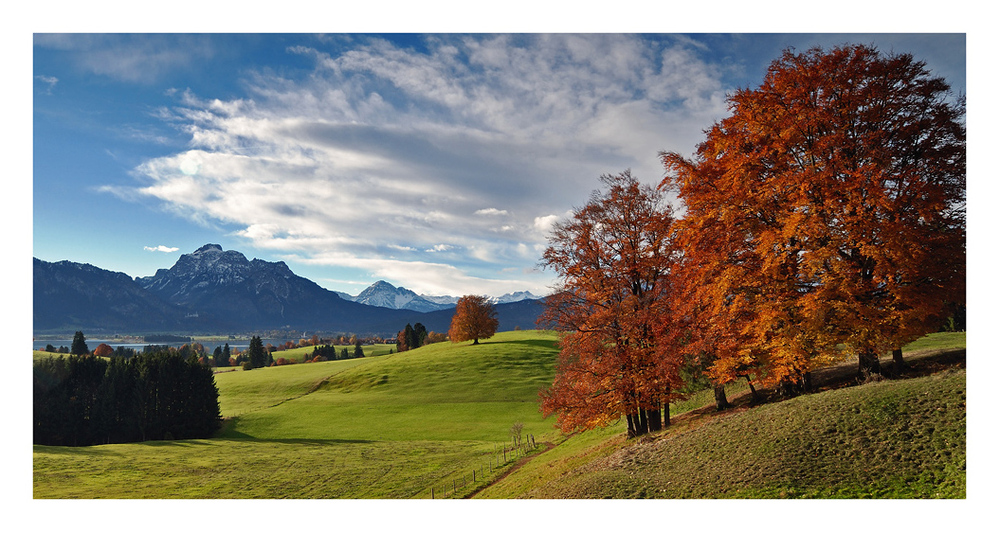 Goldener Oktober im Allgäu...