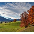 Goldener Oktober im Allgäu...