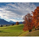 Goldener Oktober im Allgäu...