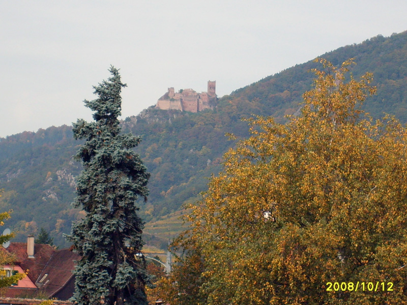 Goldener Oktober im Elsass I