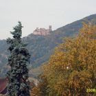 Goldener Oktober im Elsass I