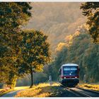 Goldener Oktober im Naturpark Kellerwald-Edersee