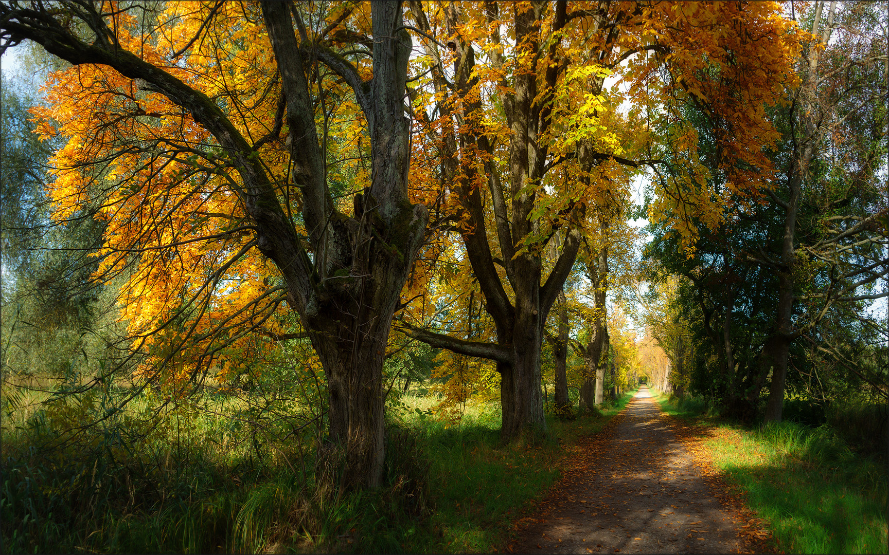 Goldener Oktober im Naturschutzgebiet Mönchbruch