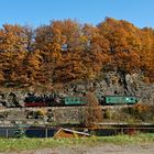 Goldener Oktober im November