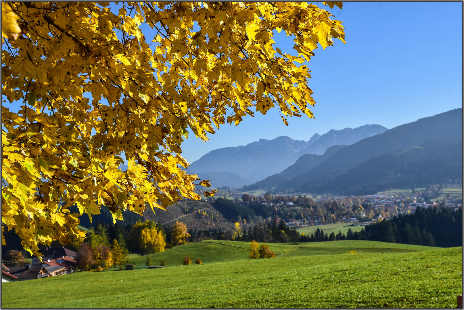 Goldener Oktober im Oberallgäu