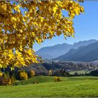 Goldener Oktober im Oberallgäu