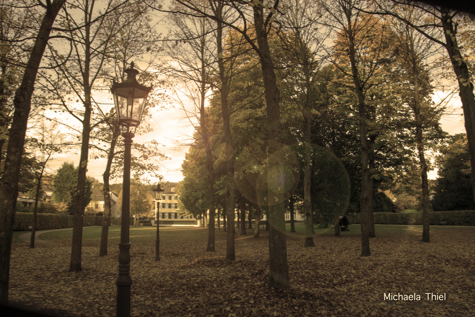 goldener Oktober im Park