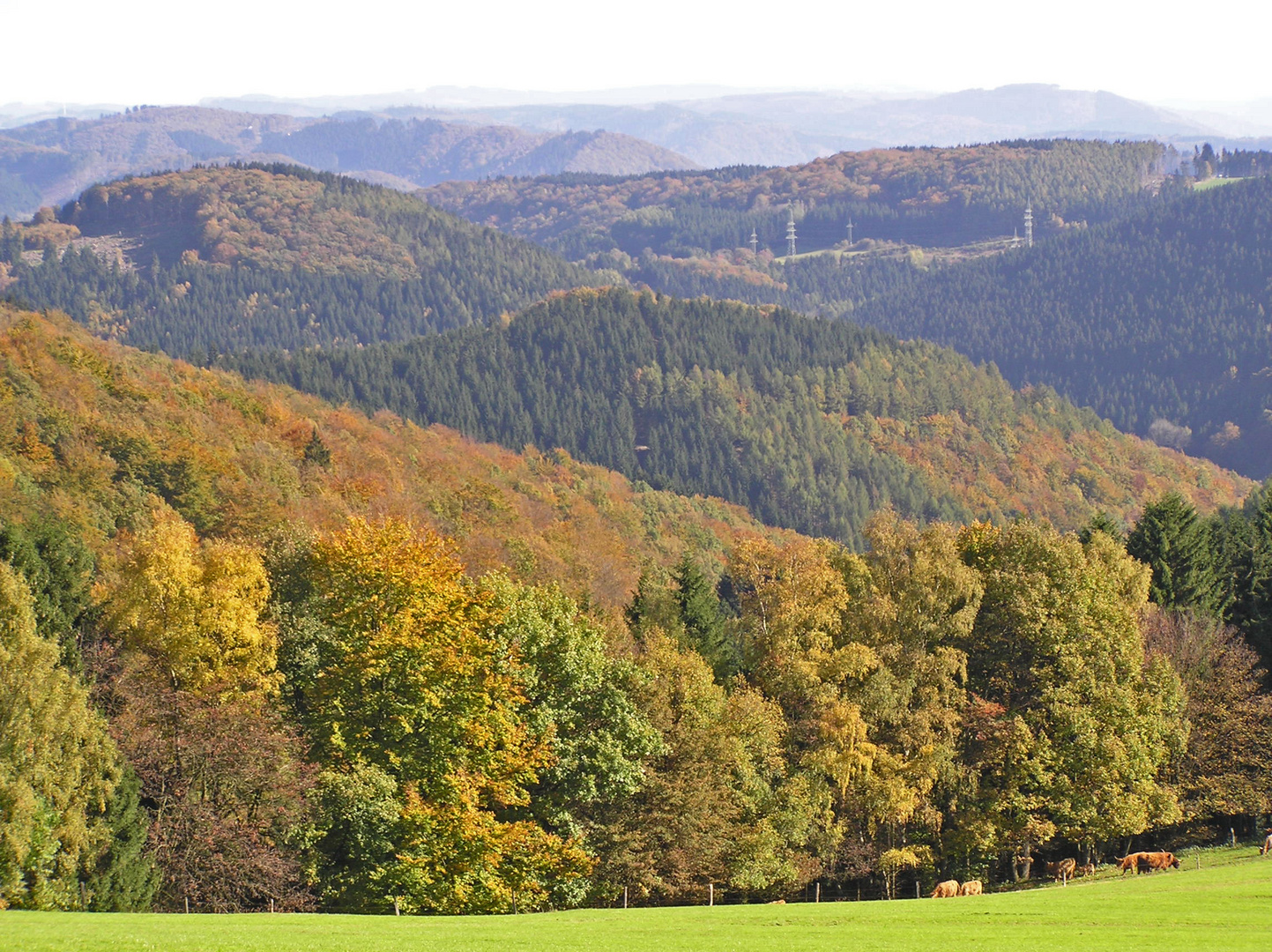 Goldener Oktober im Sauerland