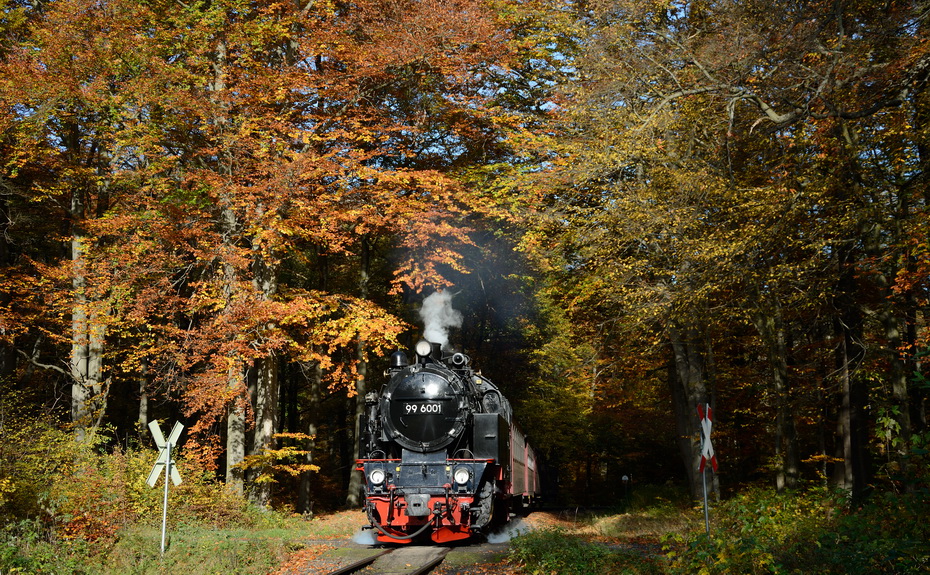 Goldener Oktober im Selketal