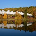 Goldener Oktober im Selketal