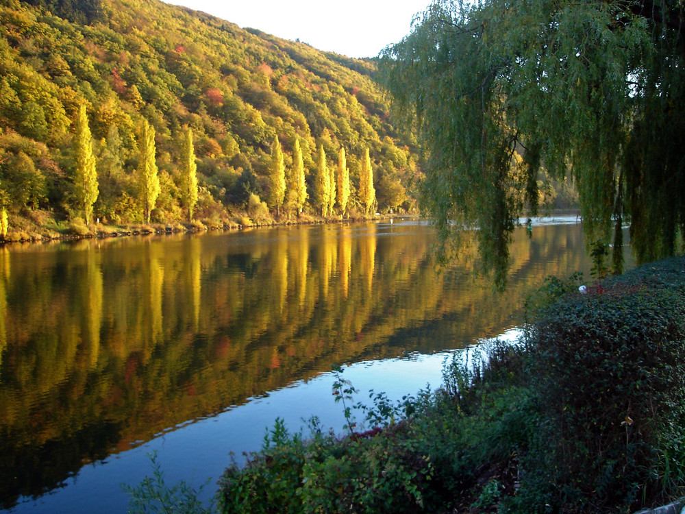 ... goldener Oktober im Spiegel