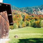 [Goldener Oktober im Trettachtal]