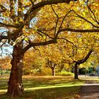 Goldener Oktober in Berlin