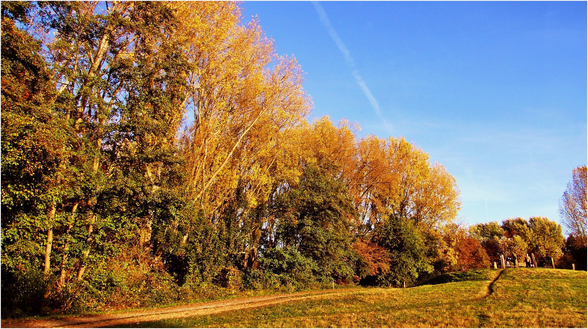 Goldener Oktober in der Abendsonne