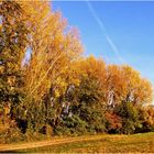 Goldener Oktober in der Abendsonne