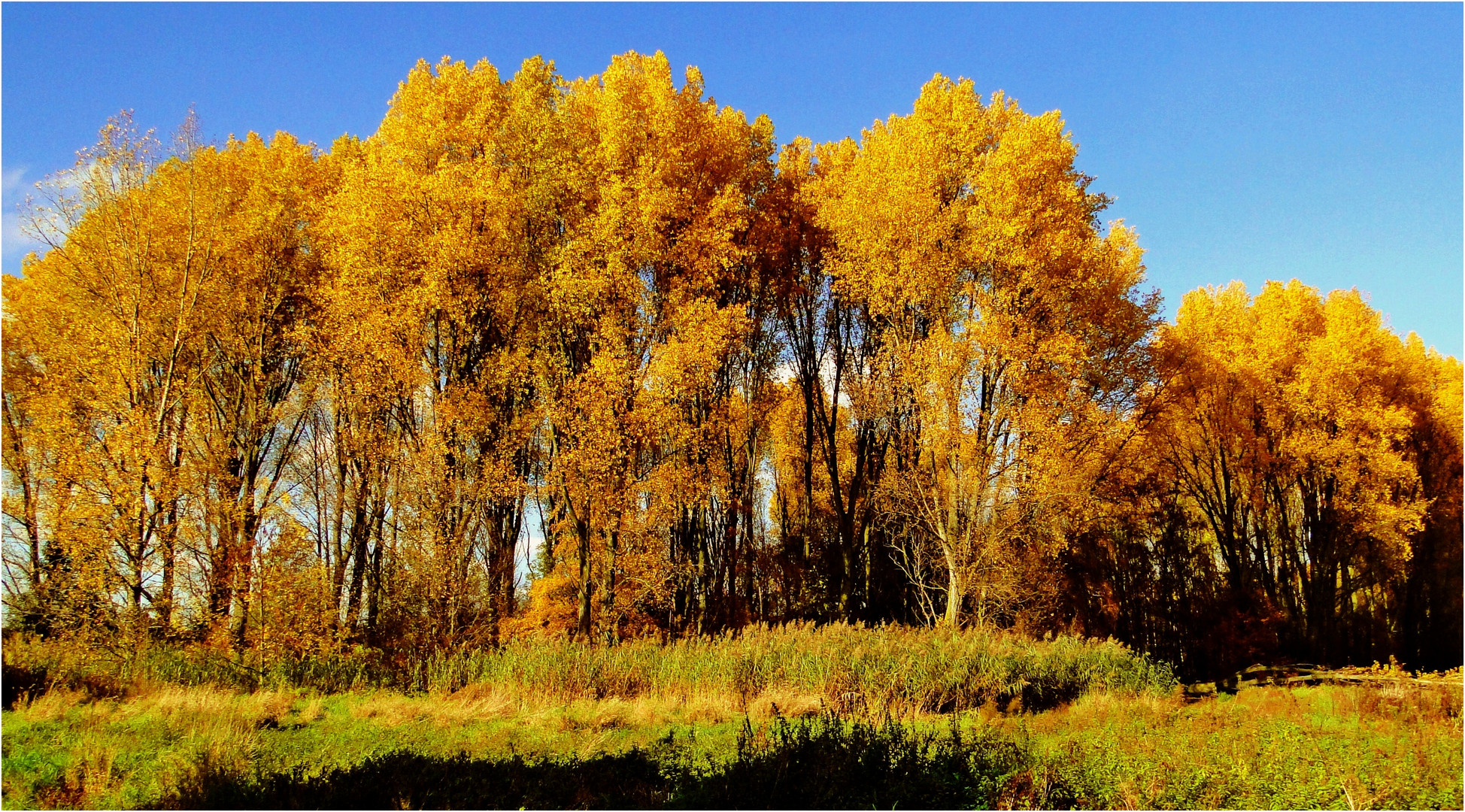 Goldener Oktober in der Abendsonne