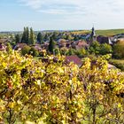 Goldener Oktober in der Pfalz