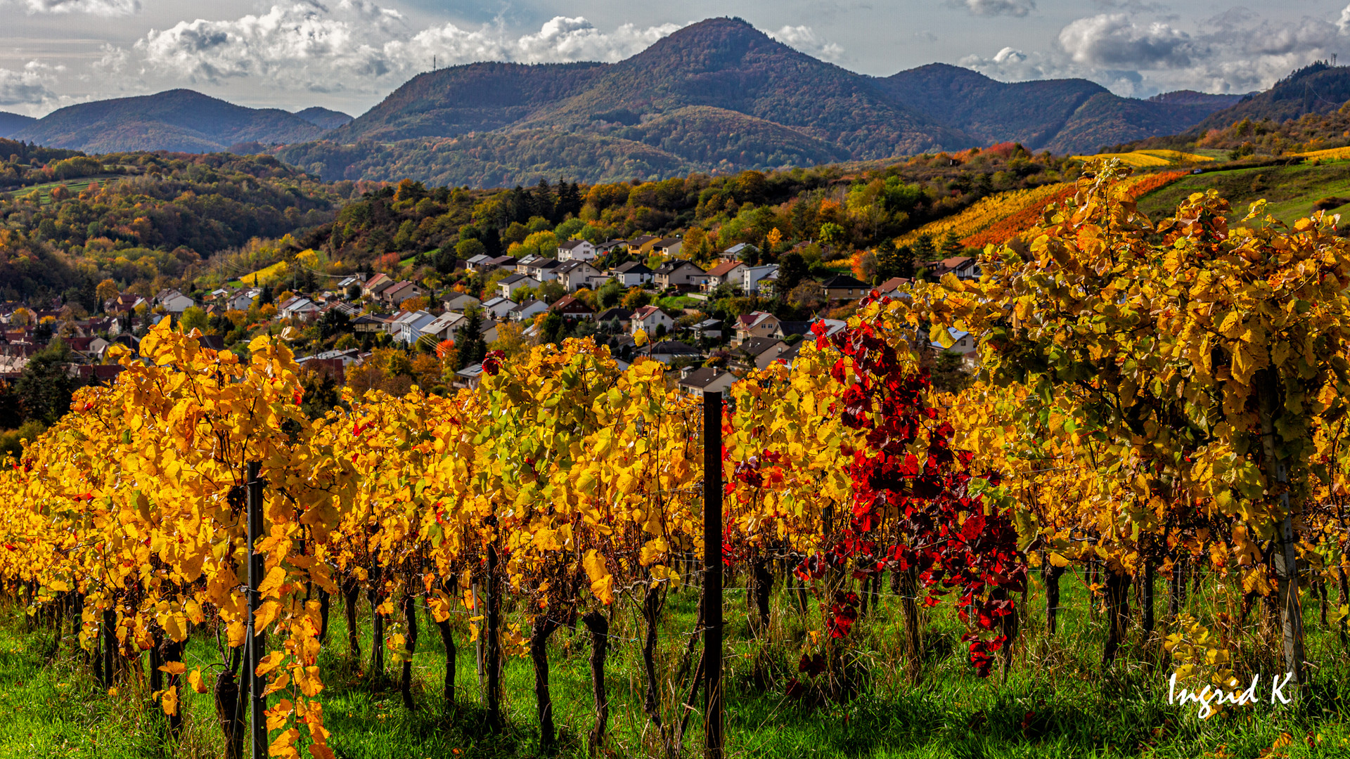 Goldener Oktober in der Pfalz