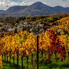 Goldener Oktober in der Pfalz