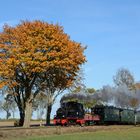 Goldener Oktober in der Prignitz