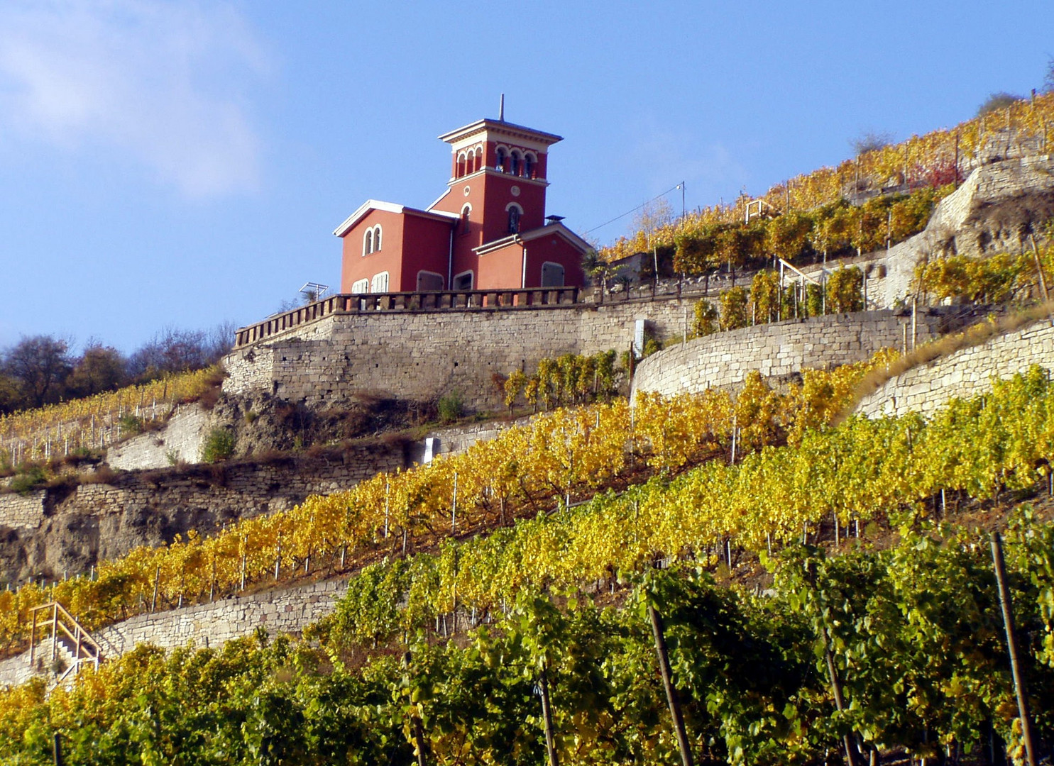 Goldener Oktober in Freyburg/Unstrut